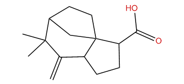 Khusenic acid